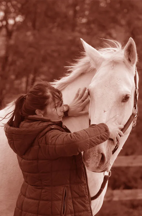 Ermeline Donnet manipule un cheval