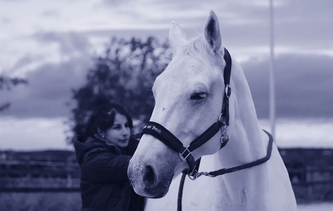 Ermeline Donnet manipule un cheval